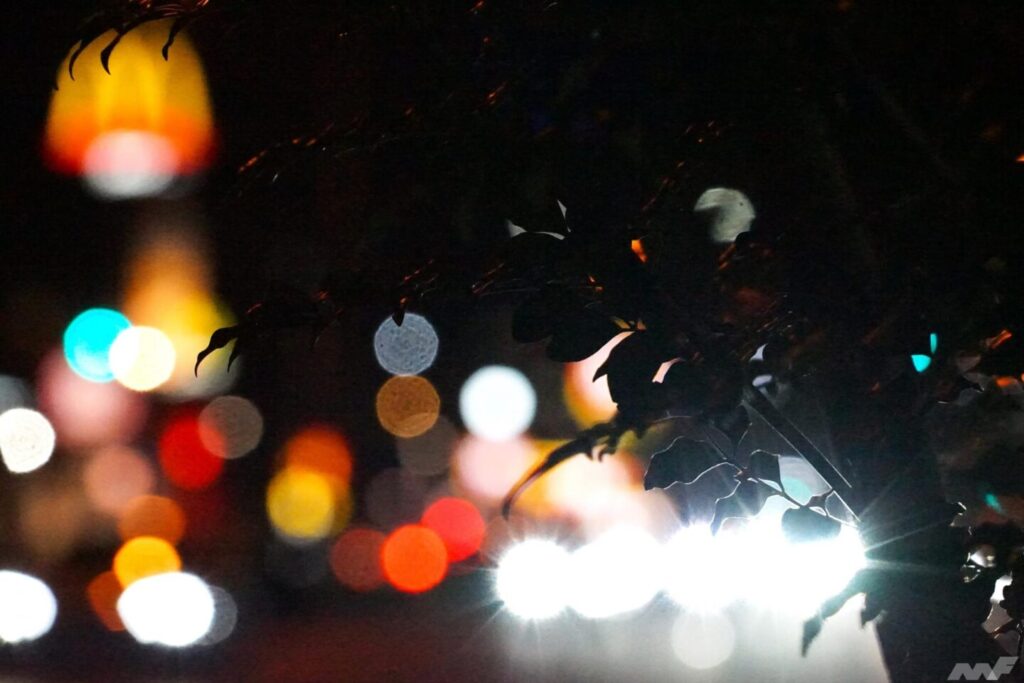 夜道の光