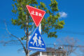 teishi_001