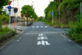 teishi_005