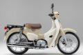 2026_honda_supercub110lite_002b