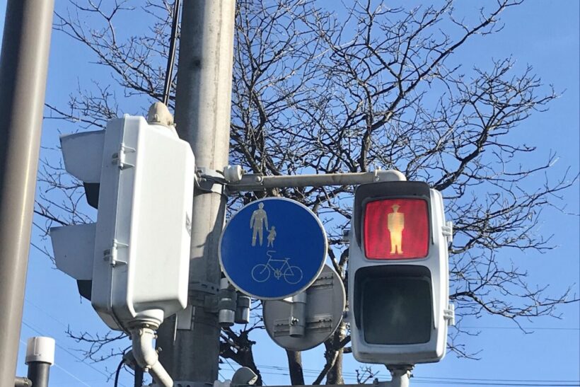 自転車専用信号