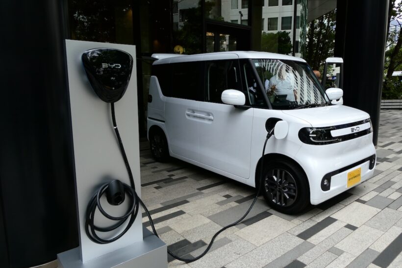 BYD ラッコ