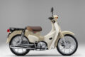 2026_honda_supercub110lite_002