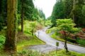 山道