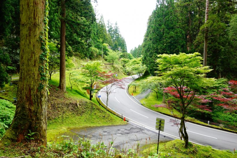 山道