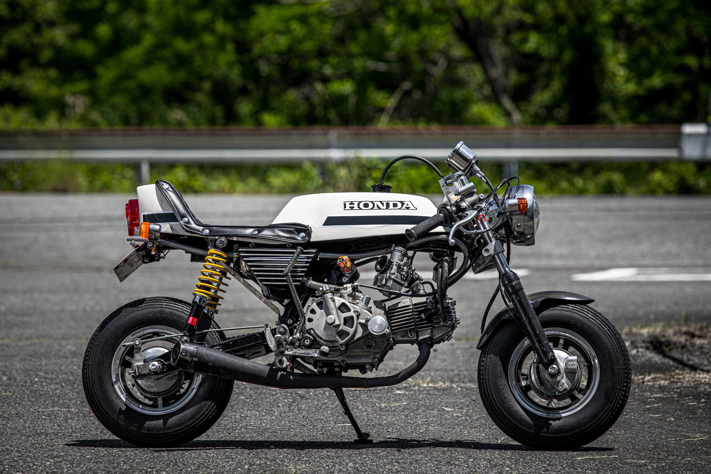 monkey_068.jpg