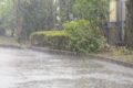ゲリラ豪雨