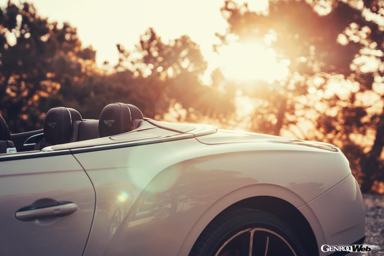 ベントレーのヘリテージカラーの一例。ダブグレー。リヤセクション