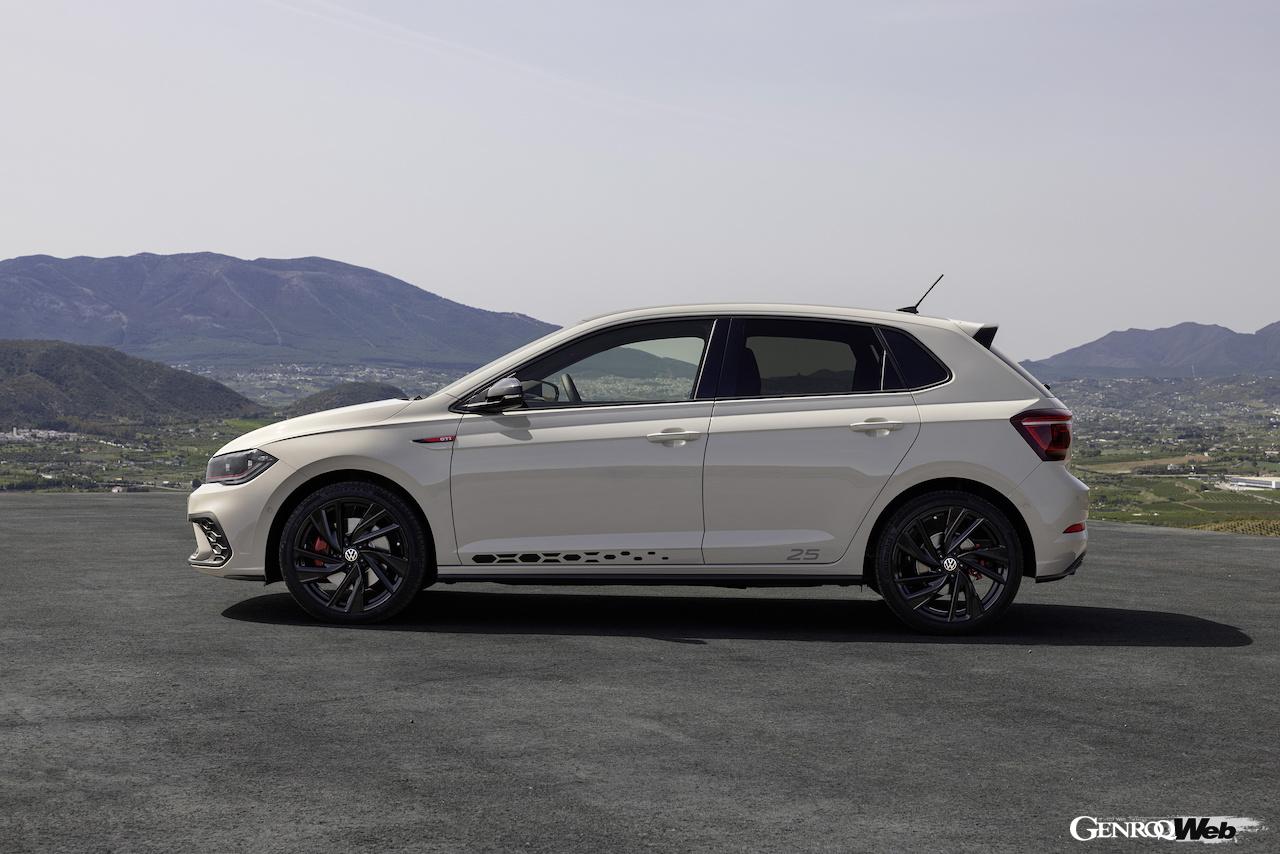 2500台限定「フォルクスワーゲン ポロ GTI エディション25」のエクステリア。