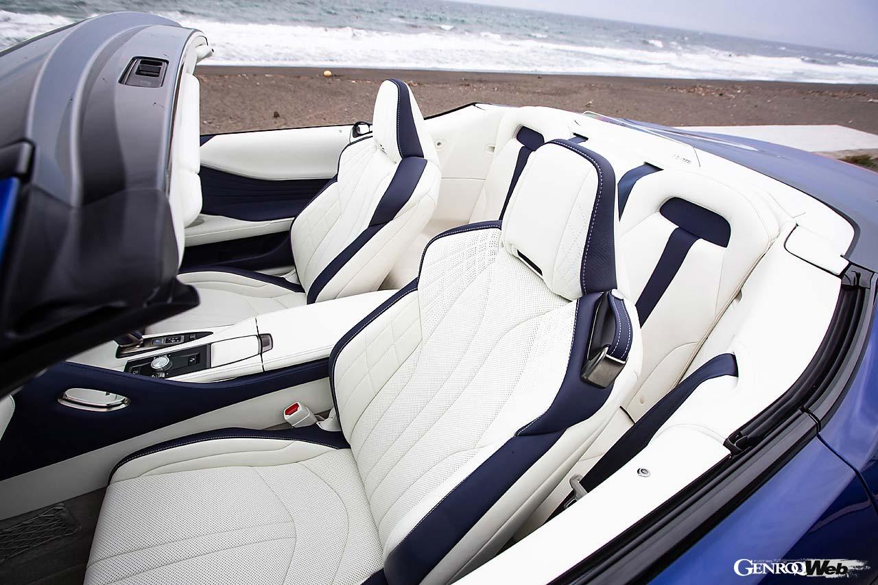 セミアニリンレザーのシートはサイズも大柄で身体を包み込む。カラーは他にオーカーやダークローズなど、4色を用意。