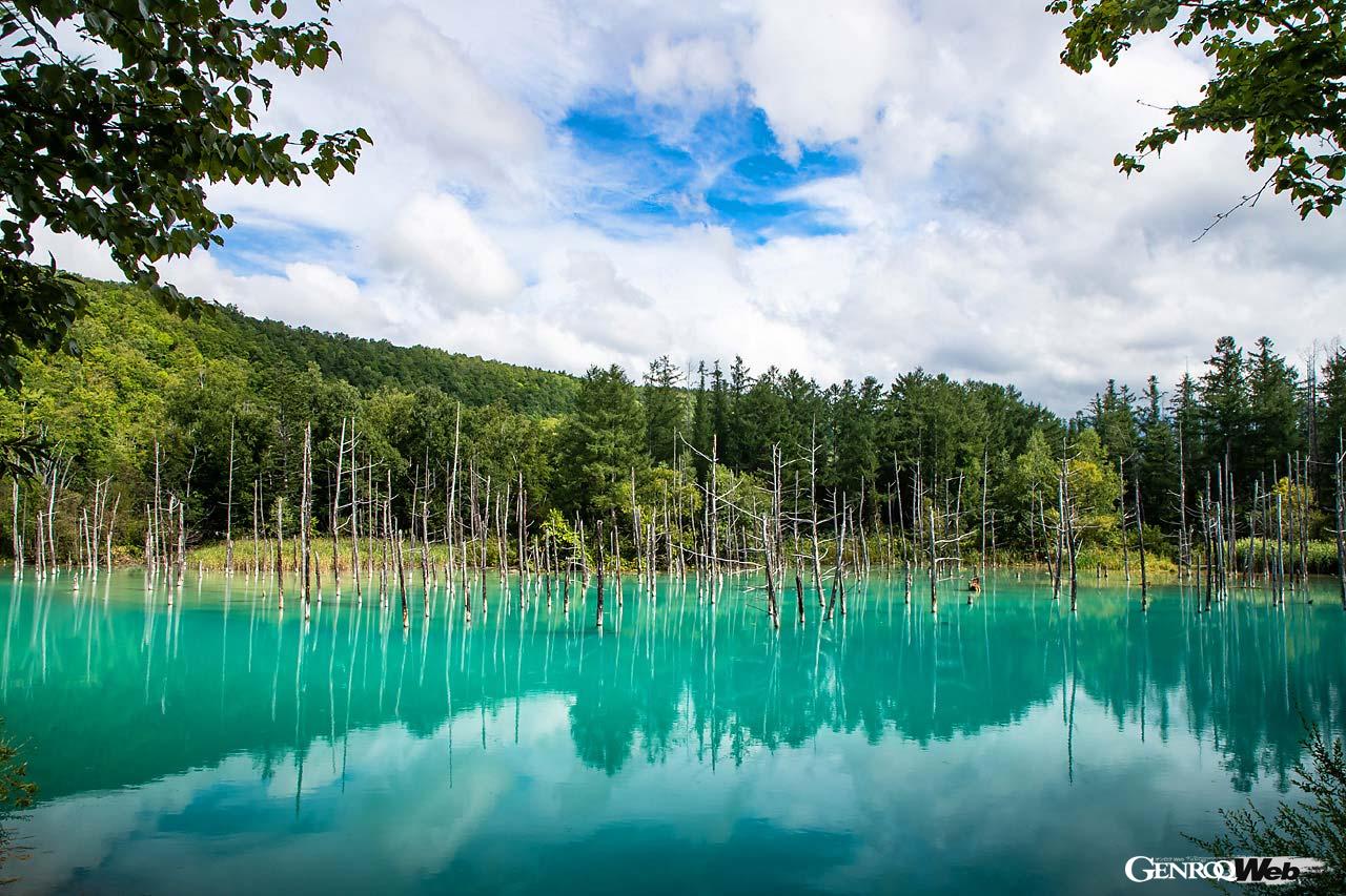 水面が青く見える不思議な池。立ち枯れのカラマツと相まって幻想的な風景を見せてくれる。この日も多数の観光客が訪れていた。