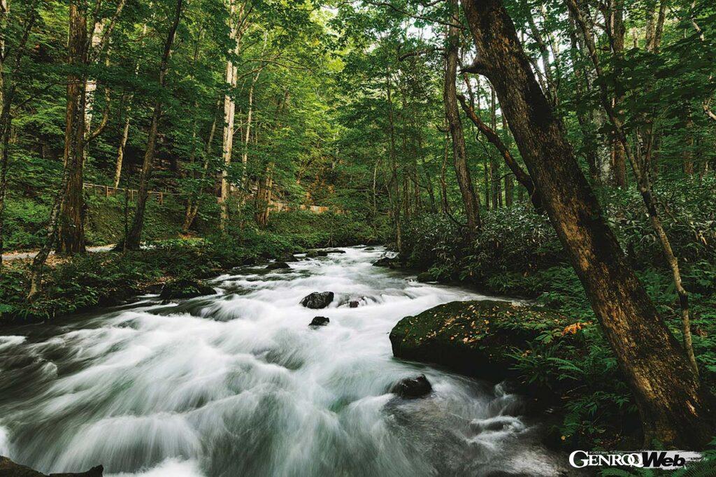 奥入瀬(おいらせ)渓流は十和田湖畔から流れ出し岩や樹林をかき分けつつ滝や清流を形成、焼山まで続く奥入瀬川の流れ。長さはおよそ14km。国道102号線を行けばクルマでも堪能できる。