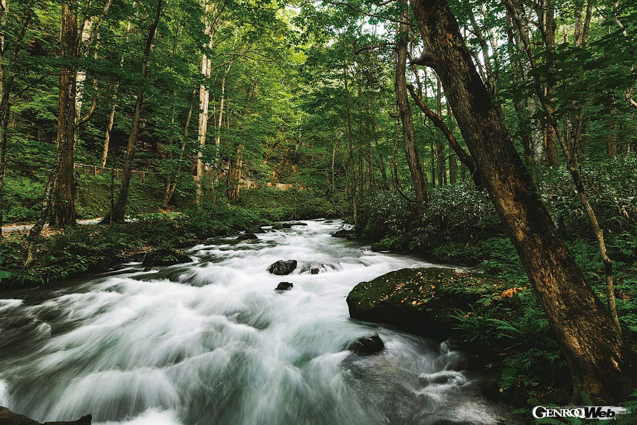 奥入瀬（おいらせ）渓流は十和田湖畔から流れ出し岩や樹林をかき分けつつ滝や清流を形成、焼山まで続く奥入瀬川の流れ。長さはおよそ14km。国道102号線を行けばクルマでも堪能できる。