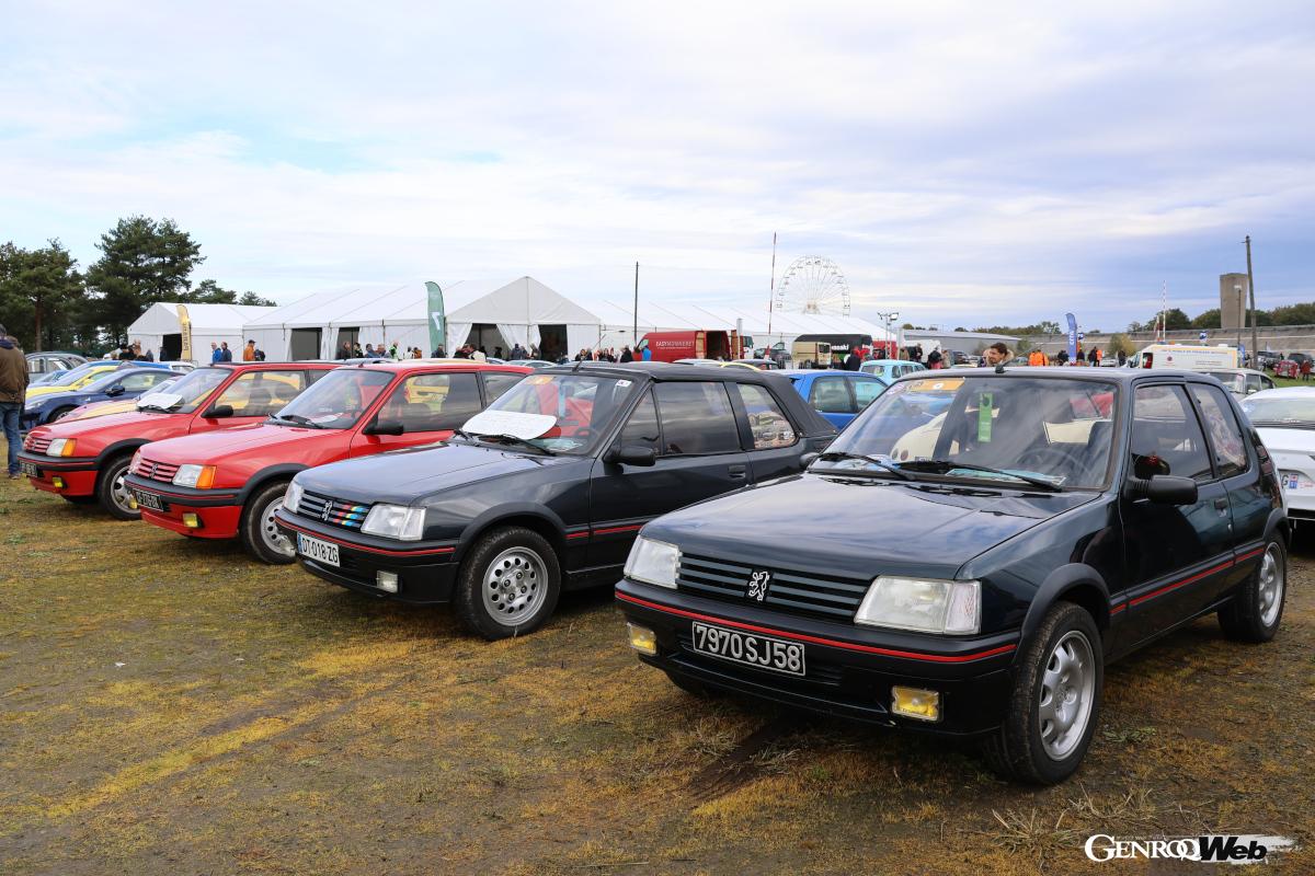 フランス中部ニヴェルネイからやってきた205GTIクラブの車両たち。