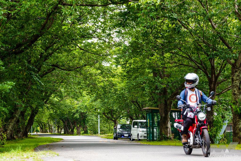 HONDA CT125 ハンターカブ 東海道 AFORIDER 大井川