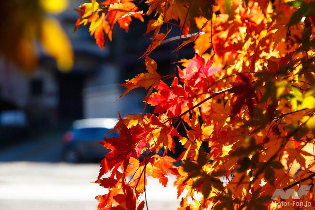 檜原村・御根家