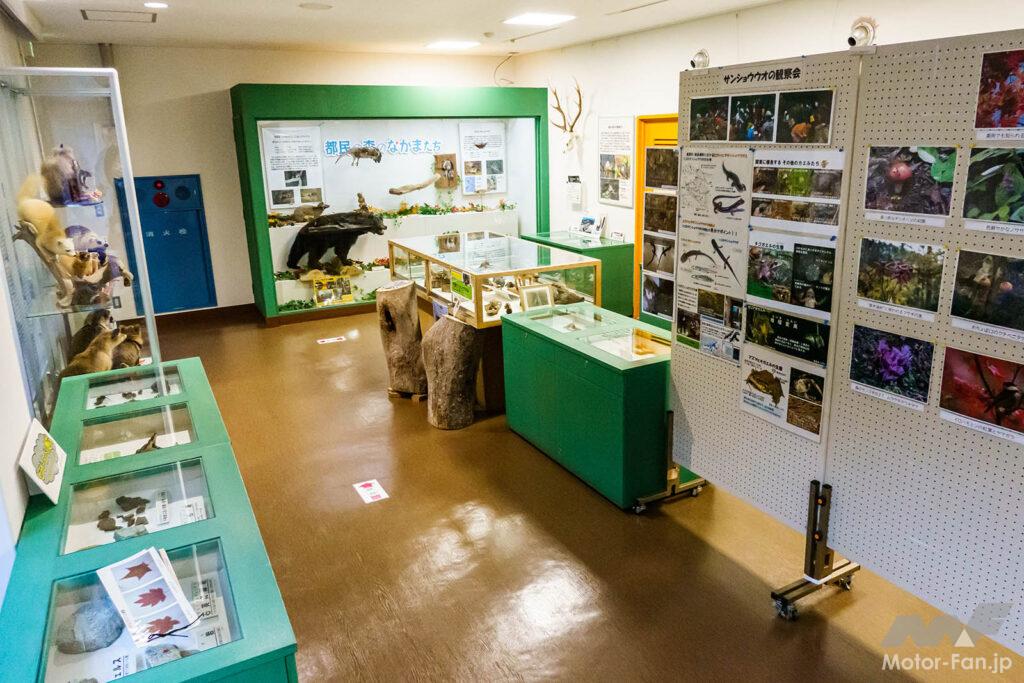 檜原村・都民の森