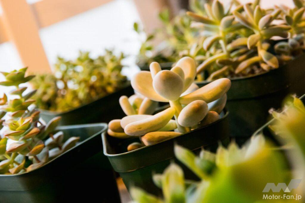 東京・奥多摩ツーリング