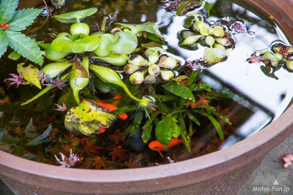 東京・奥多摩ツーリング