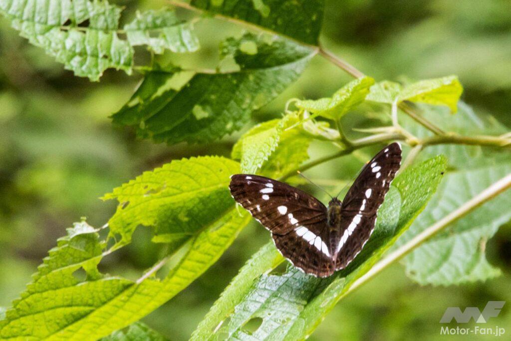東京・奥多摩ツーリング