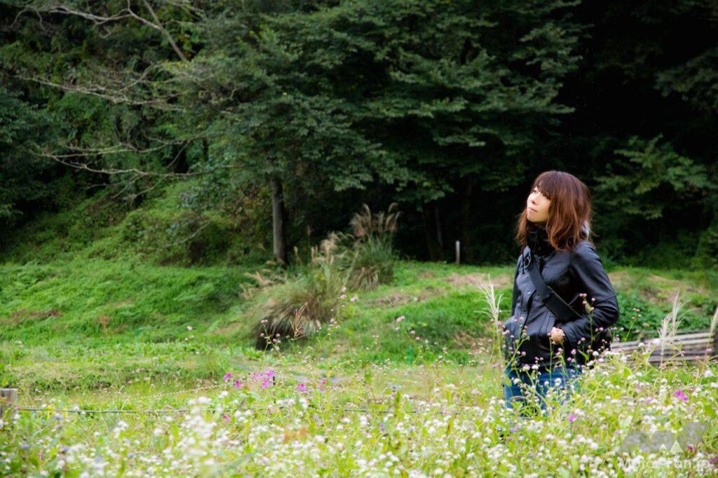 東京・奥多摩ツーリング