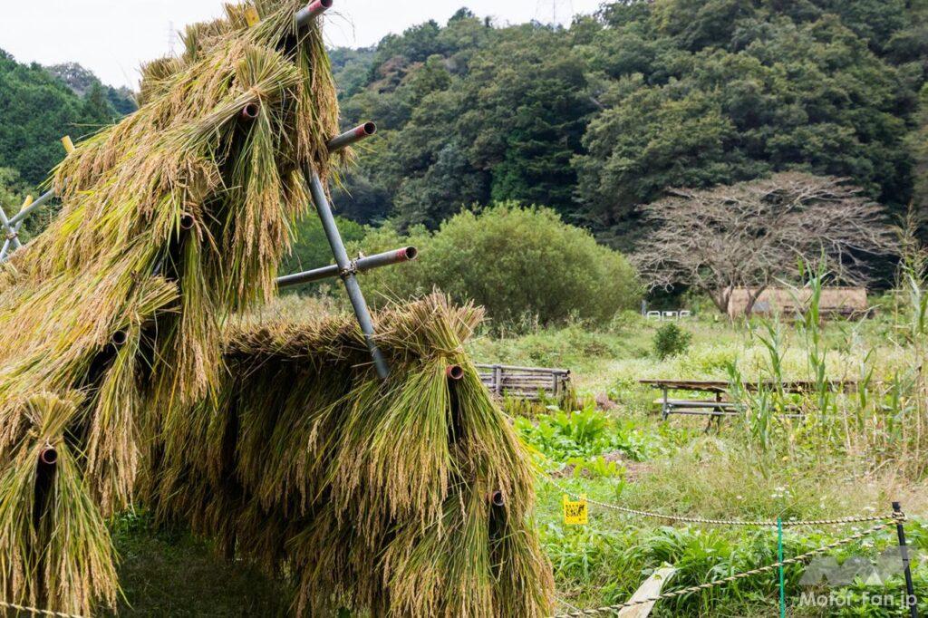 東京・奥多摩ツーリング