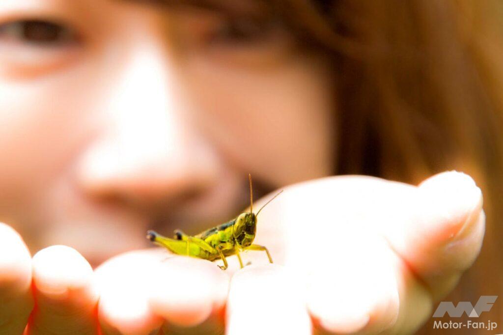 東京・奥多摩ツーリング