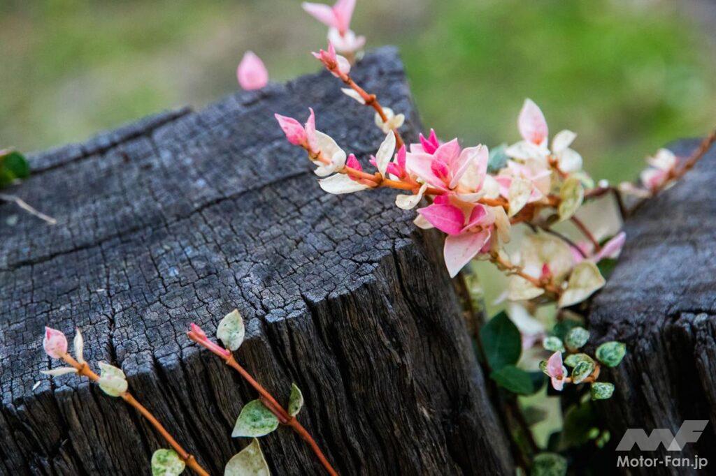 東京・奥多摩ツーリング
