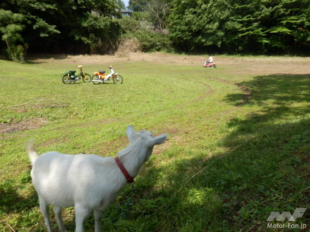 ホンダ ライディングモア H3011H
ノア