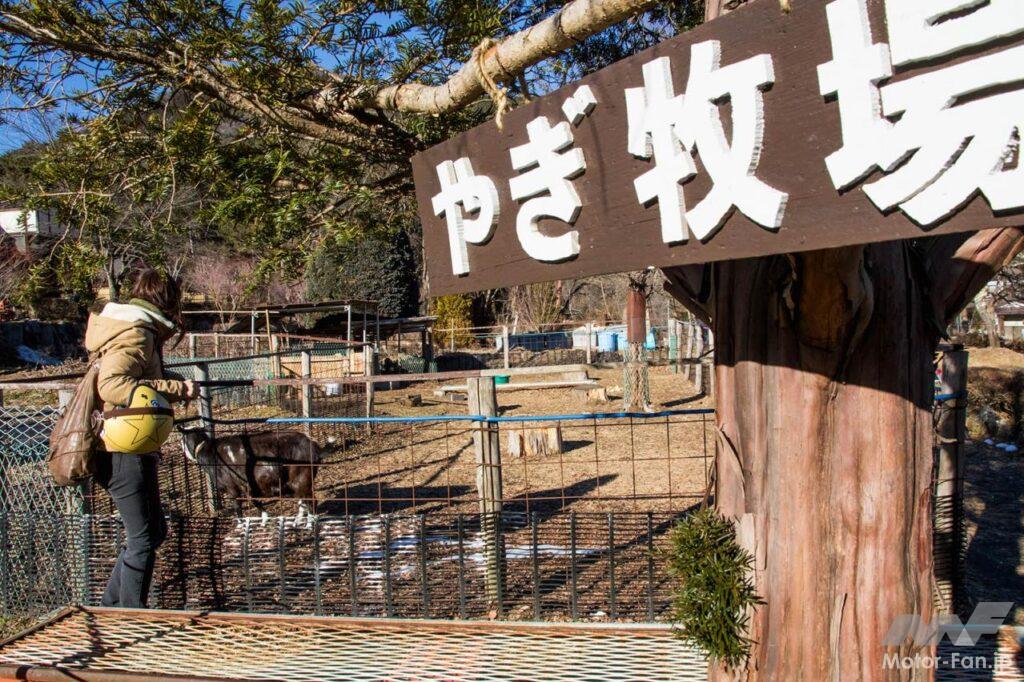 奥多摩ツーリング