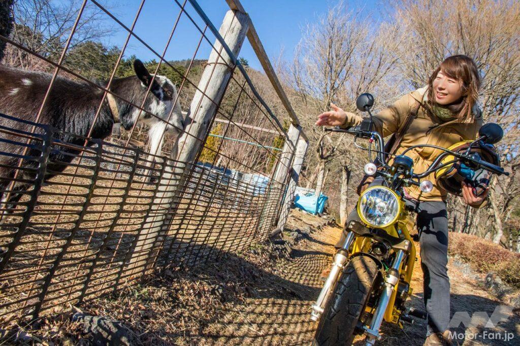 奥多摩ツーリング