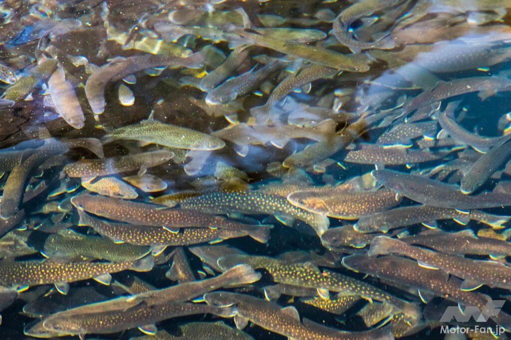 東京・奥多摩ツーリング