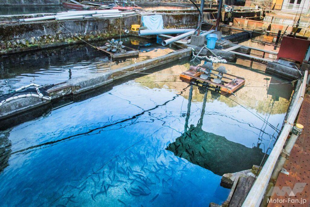 東京・奥多摩ツーリング