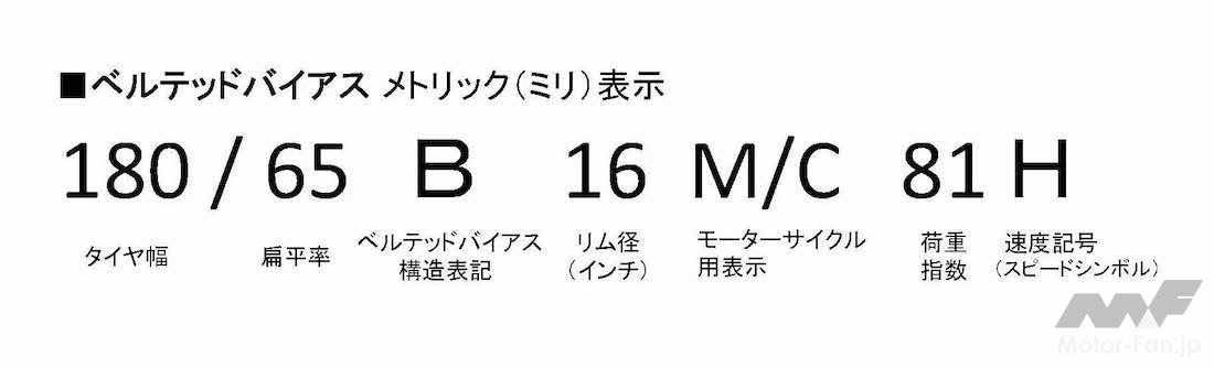 mc_tire size_cruseier_02