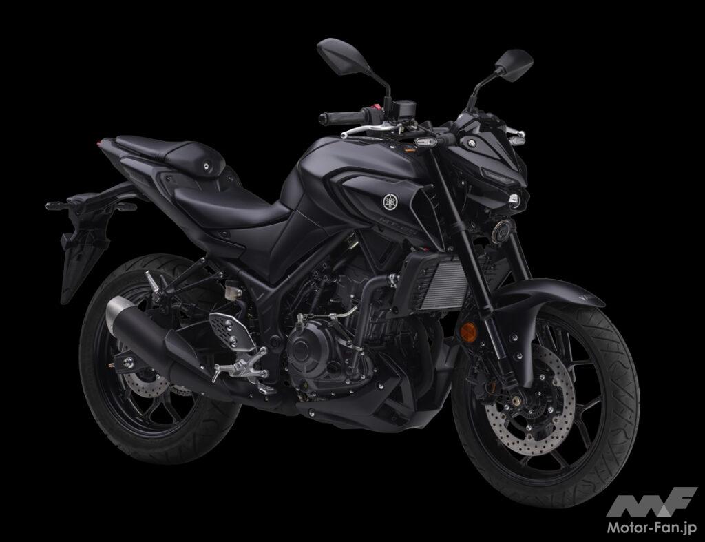 2025_YAMAHA_MT-25_001